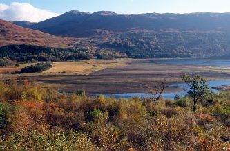 Glasdrum Wood National Nature Reserve