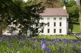 Grove of Narberth