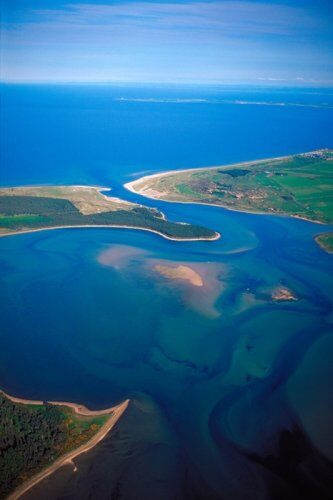 Loch Fleet National Nature Reserve