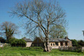 Owl Barn Retreat