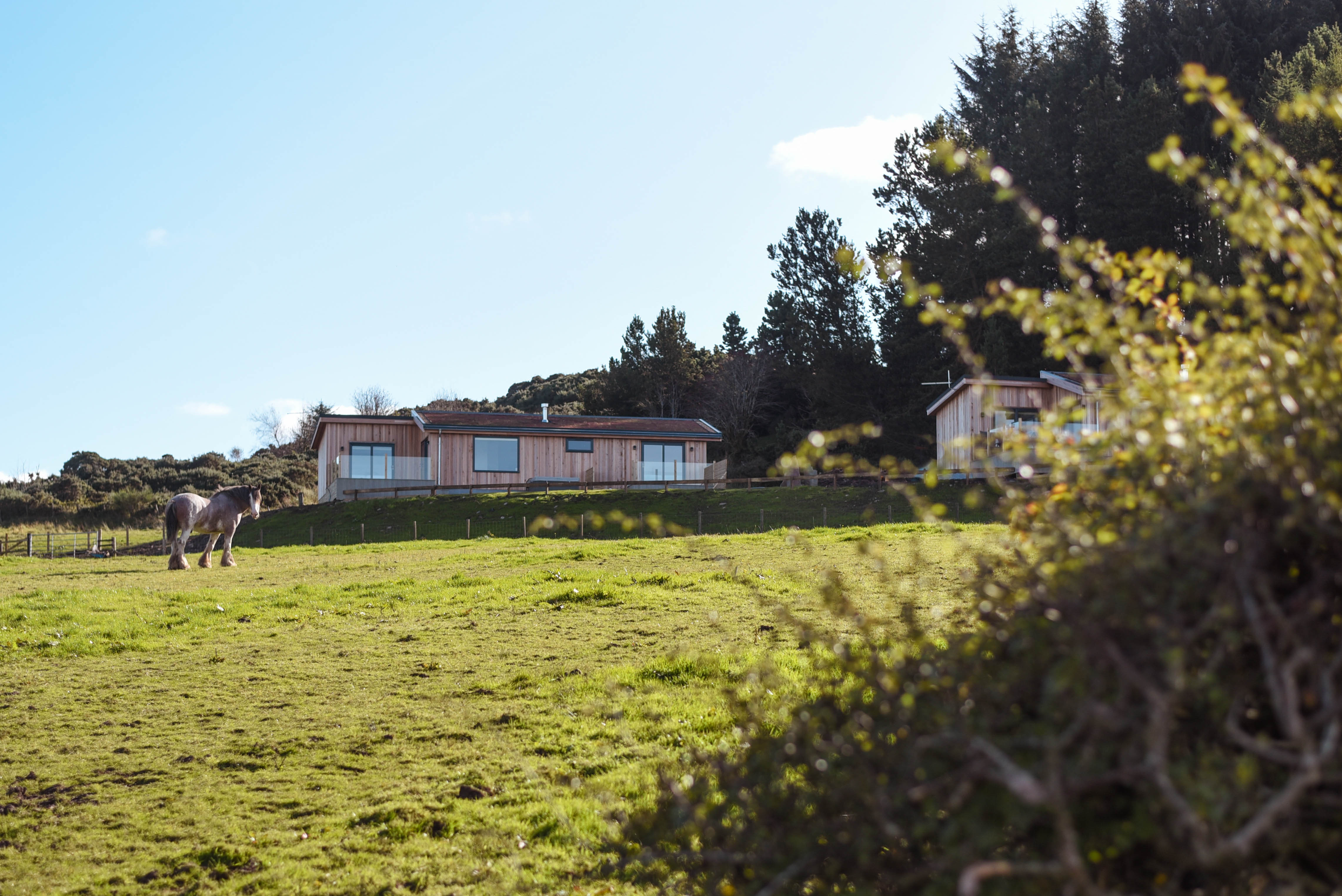 Larch Green Lodges