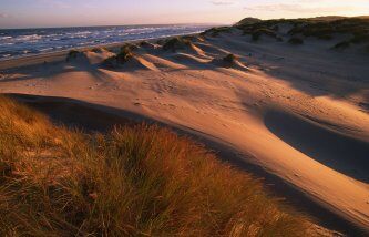 Forvie National Nature Reserve