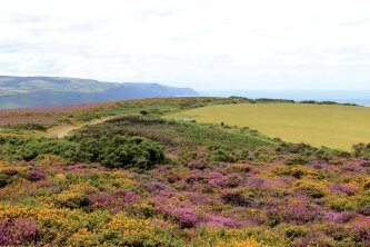 Footpath Holidays