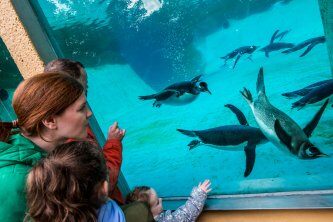 RZSS Edinburgh Zoo