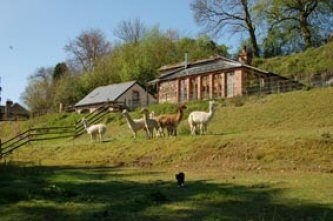 The Old Kennels