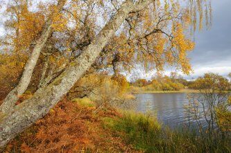 Muir of Dinnet National Nature Reserve