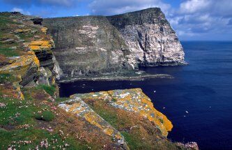 Noss National Nature Reserve
