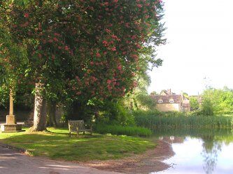 The Chestnuts