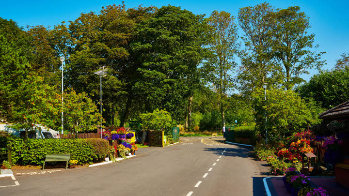 Ayr Craigie Gardens