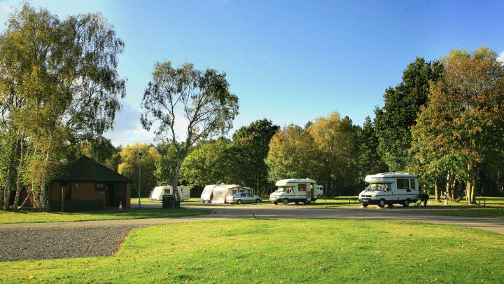 Clumber Park