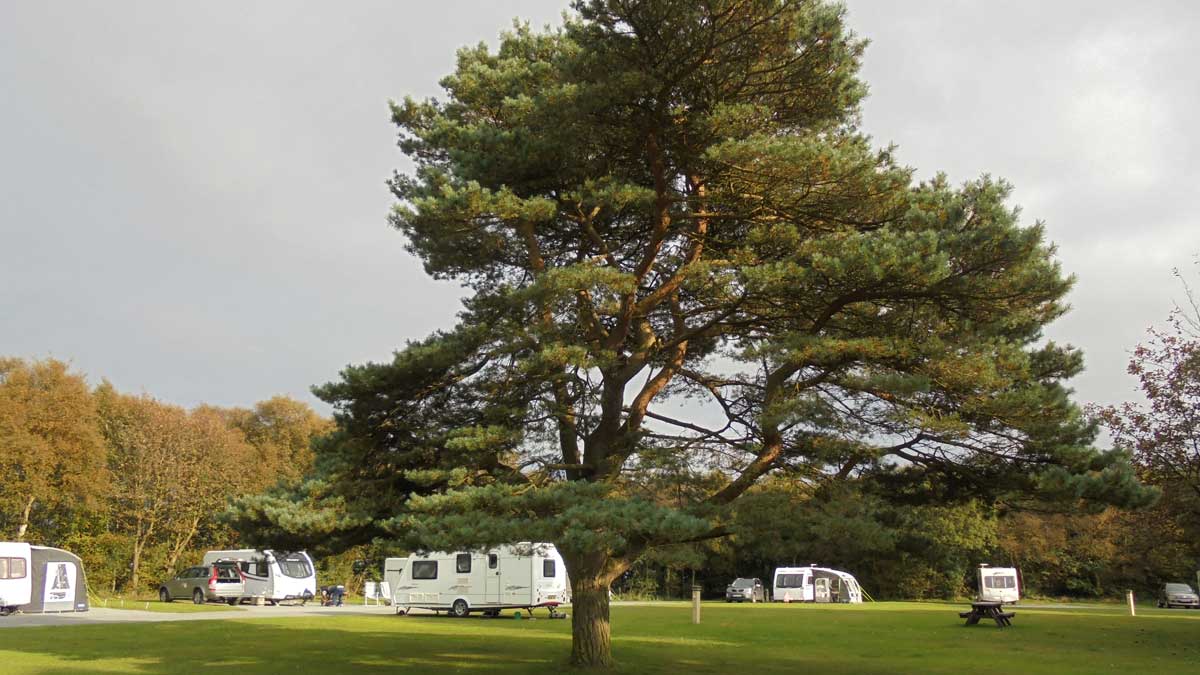 North Yorkshire Moors