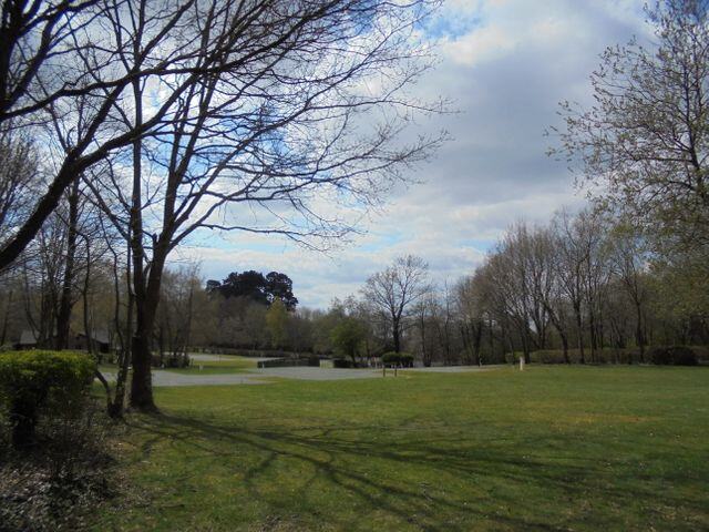 Rookesbury Park
