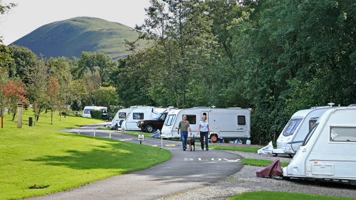Dockray Meadow