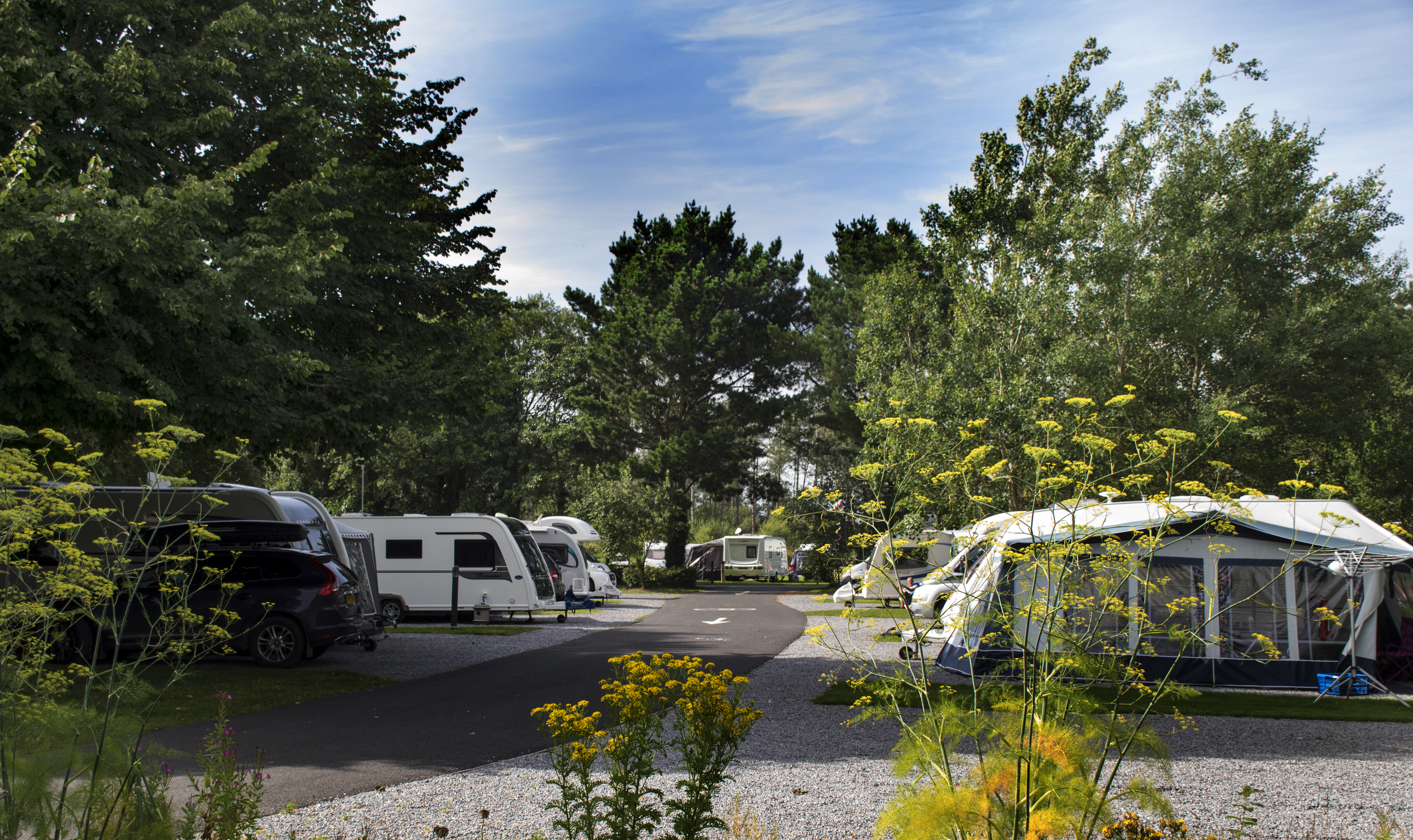 Pembrey Country Park