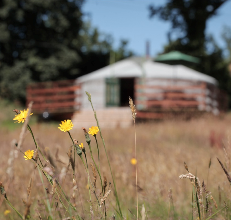 Blackdown Yurts
